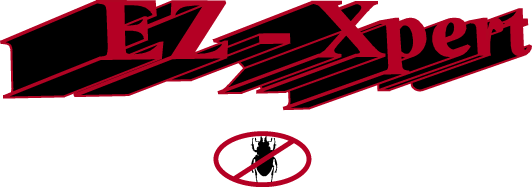 EZ-Xpert Logo